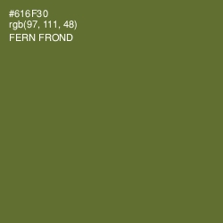 #616F30 - Fern Frond Color Image